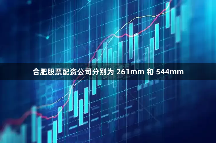 合肥股票配资公司分别为 261mm 和 544mm